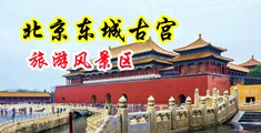免费看欧美女人的套逼视频中国北京-东城古宫旅游风景区